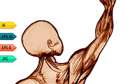 Set of man body anatomical atlases., a Person Illustration by julia_musdotter (Thumbnail 3 of 4)