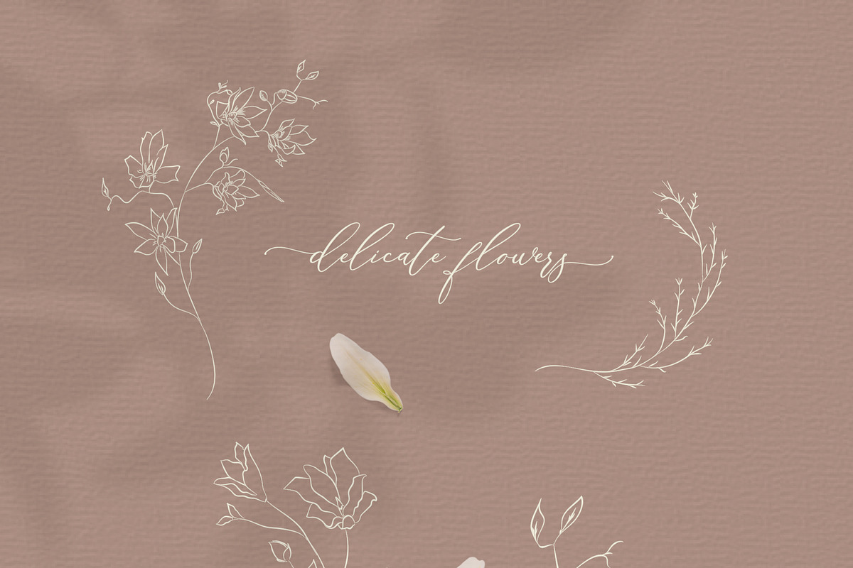 Line Drawing Botanical Wreaths, an Illustration by Olya Creative (Photo 3 of 4)