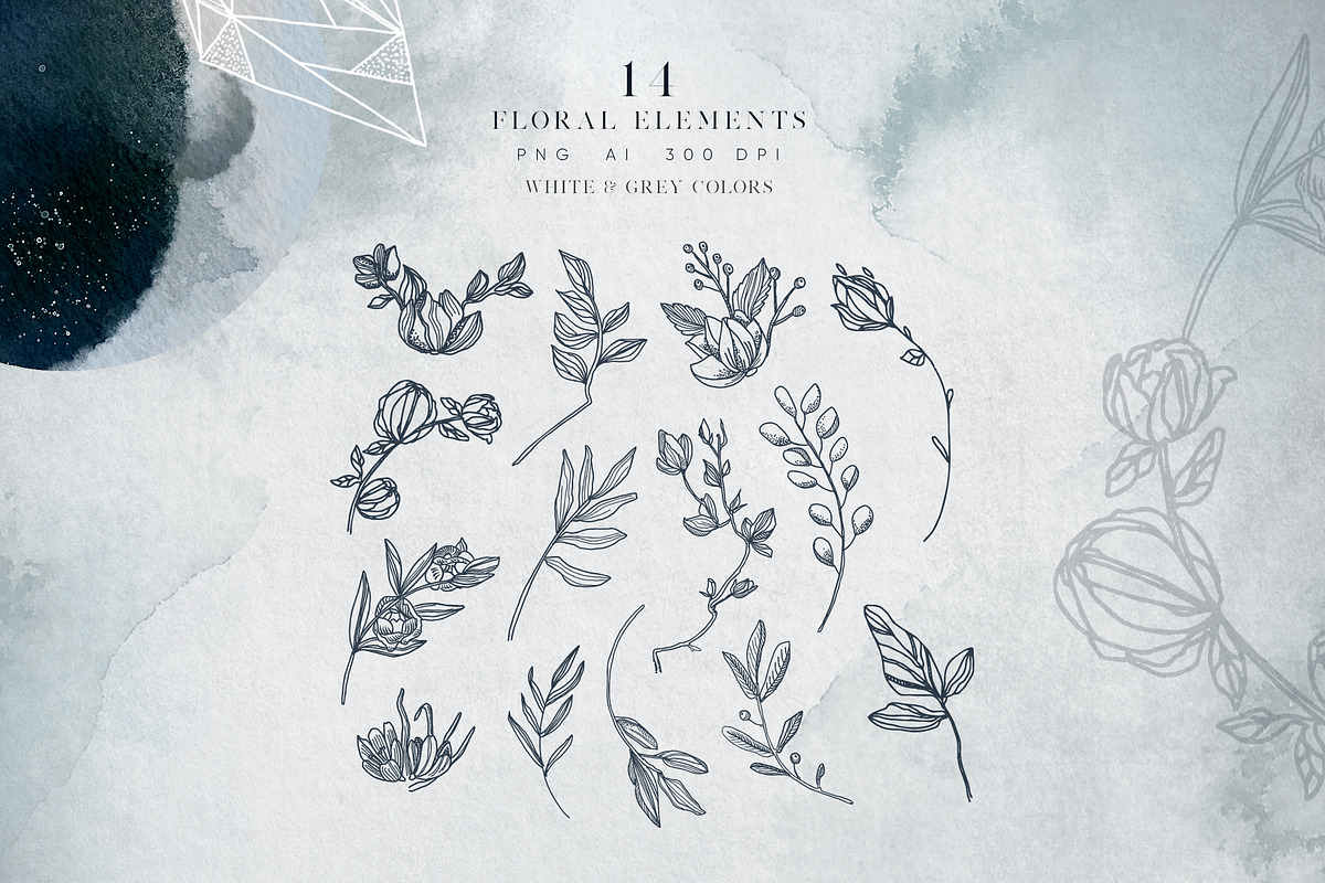 Lunare. Mysterious Graphic Set, an Animal Illustration by Muse Artist (Photo 13 of 16)