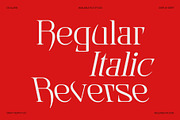 CS Alarix – Serif Display Font, a Serif Font by Craft Supply Co. (Thumbnail 4 of 8)