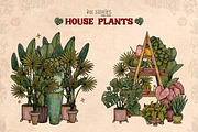 House Plants, an Object Illustration by Ink Stories (Thumbnail 14 of 23)