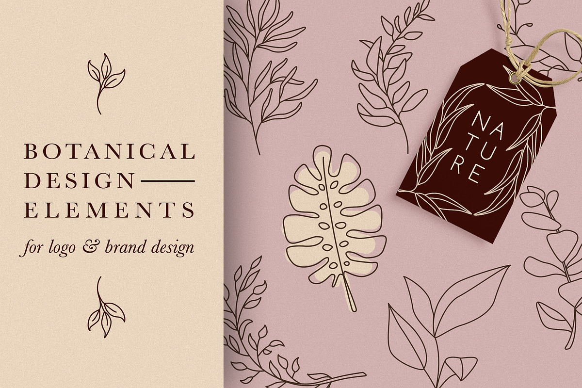 Botanical Elements for Logo Design, a Texture Illustration by amber&ink (Photo 1 of 10)