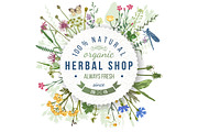 Meadow herbs and flowers, a Decorative Illustration by handsketched (Thumbnail 2 of 7)