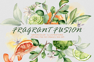 Citrus fruits and flower watercolor