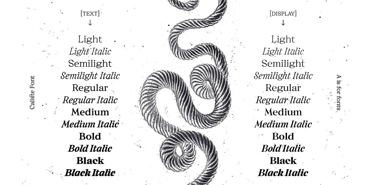 Caliste Display, a Serif Font by A is for... (Photo 8 of 10)