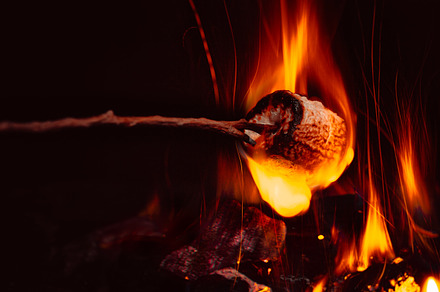 Marshmallows over a campfire close up featuring roasting, marshmallow, and