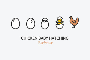 Chicken Baby Hatching Concept