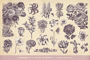 SALE! 100 Garden Illustrations, an Object Illustration by Anja Kaiser (Thumbnail 2 of 8)