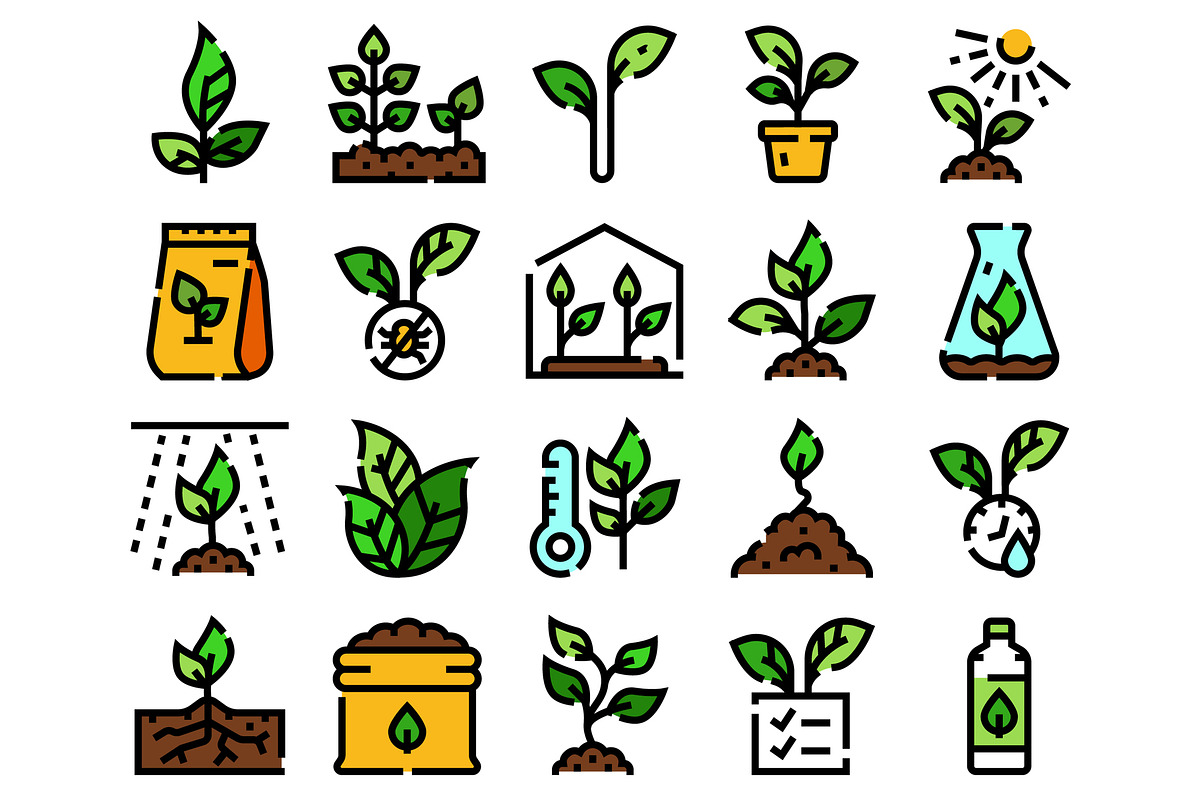 Plant growth seedling agriculture, an Object Graphic by pikepicture (Photo 2 of 3)