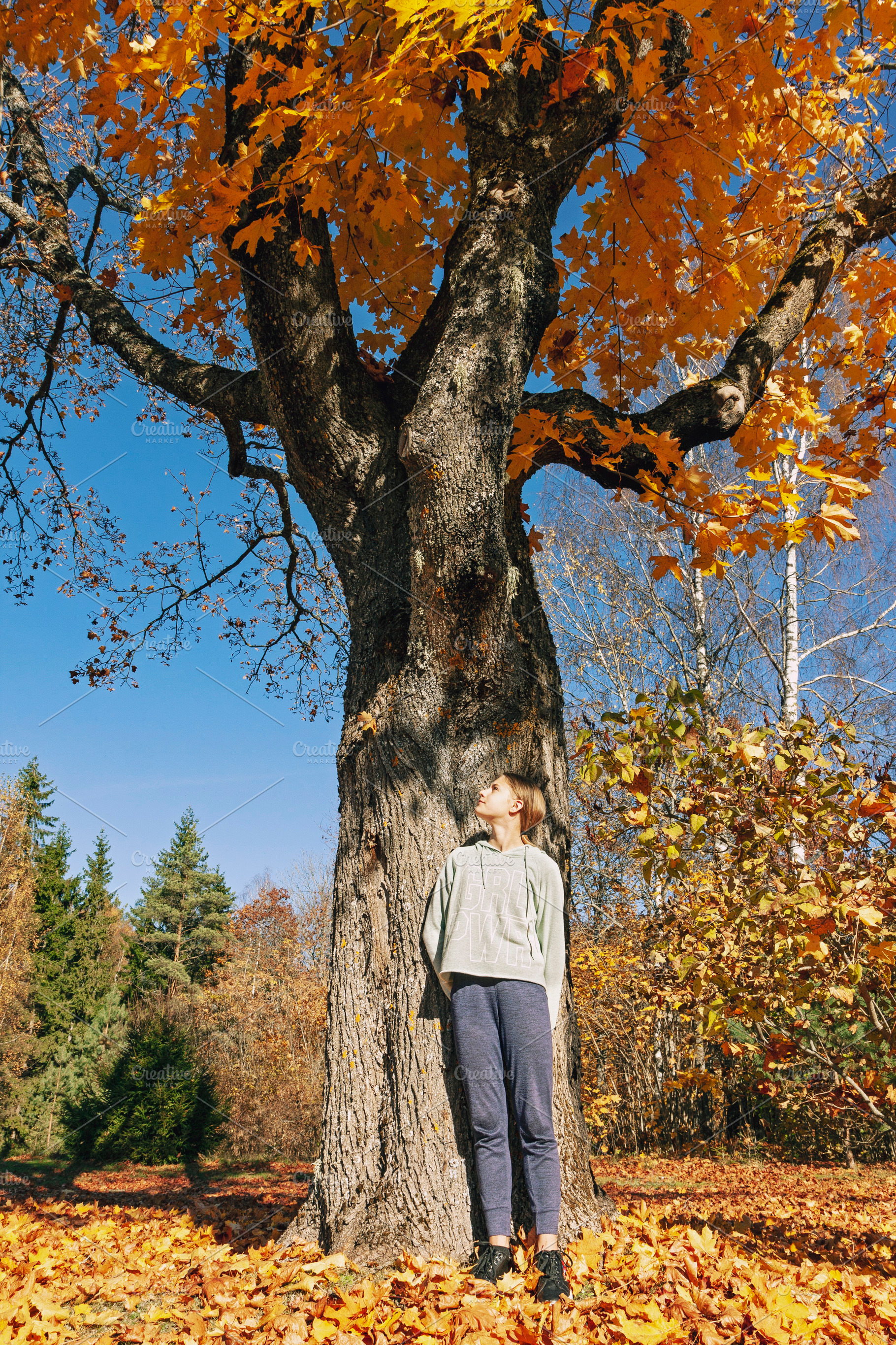 Teenage girl under maple tree, a Nature Photo by BOOCYS