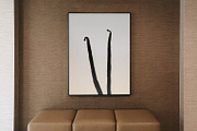 Vanilla Pods, an Arts & Entertainment Photo by Marie Dumora (Thumbnail 4 of 5)