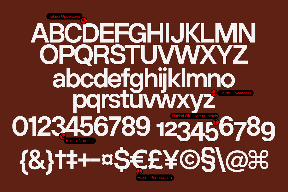 ZT Hakimi - 22 Fonts & Variable, a Sans Serif Font by zelow type (Photo 4 of 16)