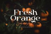 Dailen Style || Serif Font, a Serif Font by Idea Studio (Thumbnail 2 of 10)