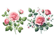Watercolor Roses Clipart Blush Flora, an Illustration by Designworld (Thumbnail 5 of 6)