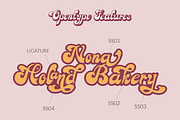 Achandria a modern retro font, a Blackletter Font by Javatype Studio (Thumbnail 7 of 10)