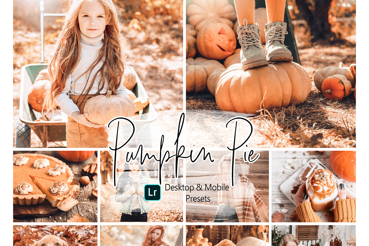 10 Pumpkin Pie Lightroom Presets, a Preset Add-On by MockTurtleStudio (Photo 1 of 8)