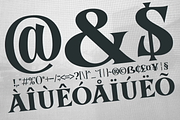 Aosta - Serif Display Font, a Serif Font by overlaytemplates (Thumbnail 5 of 5)