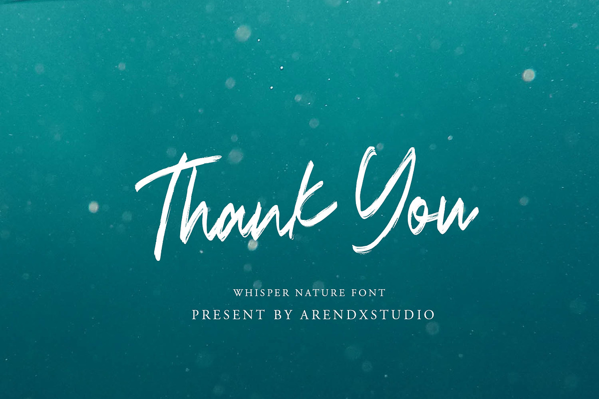 Whisper Nature - Brush Script Font preview 8