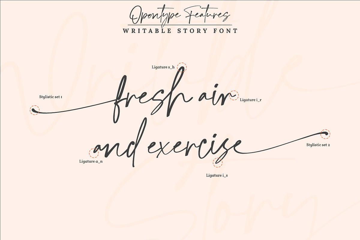 Writable Story, a Script Font by din-studio.com (Photo 8 of 10)