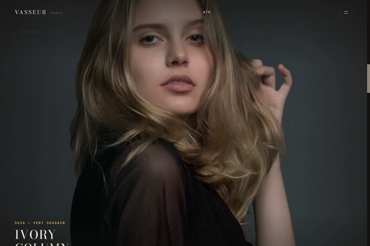 Vasseur Paris Fashion Template, a HTML Template by DigitalsDesigns (Photo 4 of 7)