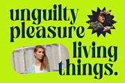 Zefta Bold Tall Modern Serif Font, a Serif Font by timelesstype.co (Thumbnail 4 of 20)