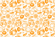 Citrus Vector  Collection, a Food Illustration by Lubov Illustrations Shop (Thumbnail 5 of 5)