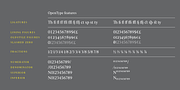 Haggard Nova, a Serif Font by TipografiaRamis (Thumbnail 9 of 9)