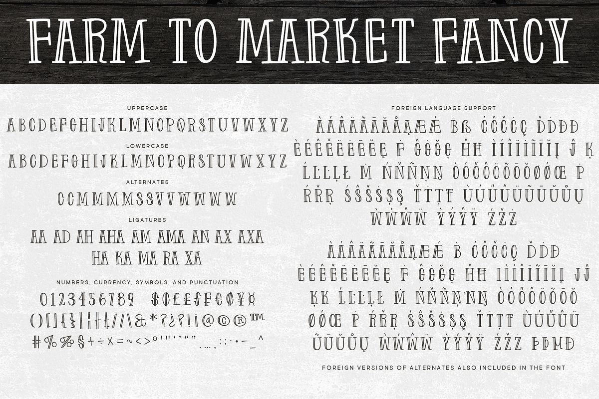 Farm to Market, a Font by Brittney Murphy Design (Photo 5 of 6)