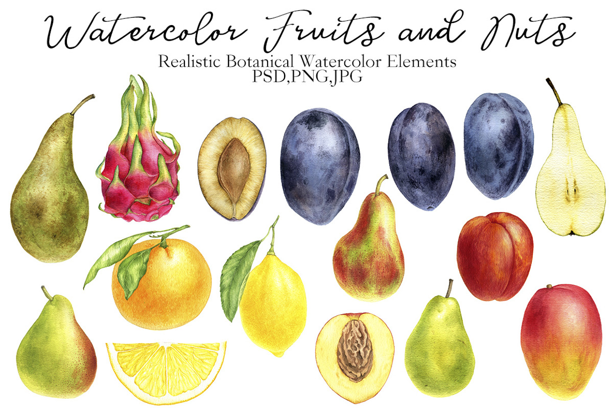 Watercolor Fruits and Nuts, an Object Graphic by cat_arch_angel (Photo 2 of 6)