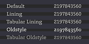 Legit Slab, a Slab Serif Font by Finaltype (Thumbnail 3 of 12)