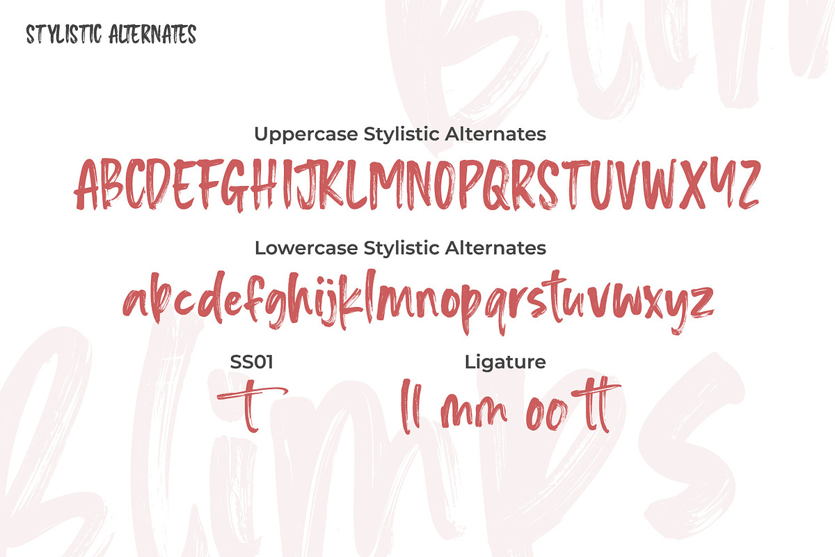 Blimps, a Script Font by din-studio.com (Photo 10 of 10)