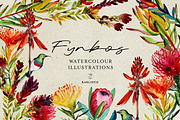 Watercolor Fynbos Art, a Decorative Illustration by Karliefie (Thumbnail 1 of 2)