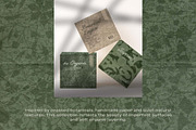 Botanical Imprint — Organic Papers, a Background Graphic by DigARTbyHavroshka (Thumbnail 12 of 15)