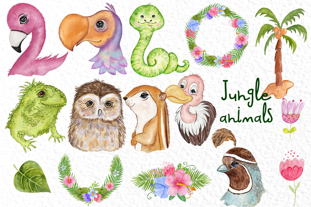 Tropical birds Cute Animals, an Animal Illustration by vivastarkids (Photo 3 of 7)