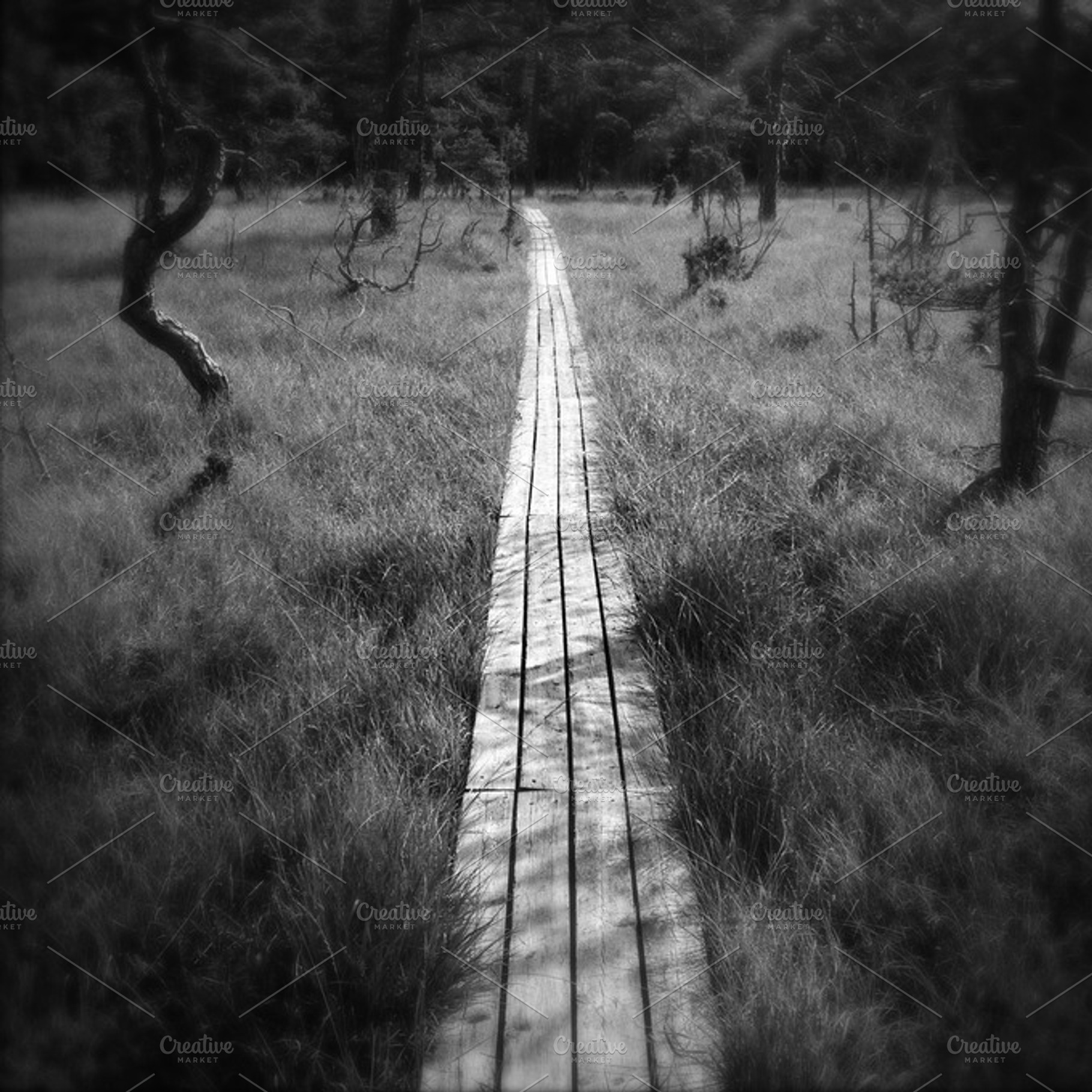 Footbridge Stock Photo Containing Footbridge And Bw