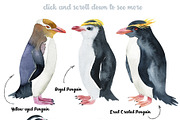 Penguins at the Pole-illustration, an Animal Illustration by KatBranchArt (Thumbnail 2 of 5)