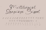 The Angellica - Calligraphy Font, a Script Font by StringLabs (Thumbnail 12 of 13)