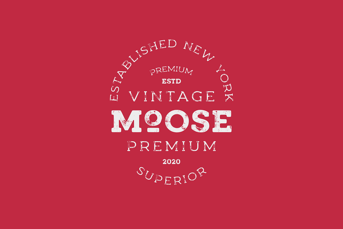 Woodman Slab Serif Font, a Slab Serif Font by Graphicdome (Photo 7 of 14)