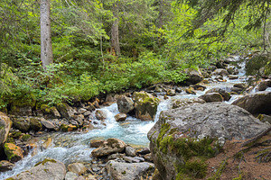 Rocky stream in alpine forest of Les Contamines-Montjoie, France, a Nature Photo by GoodGoods