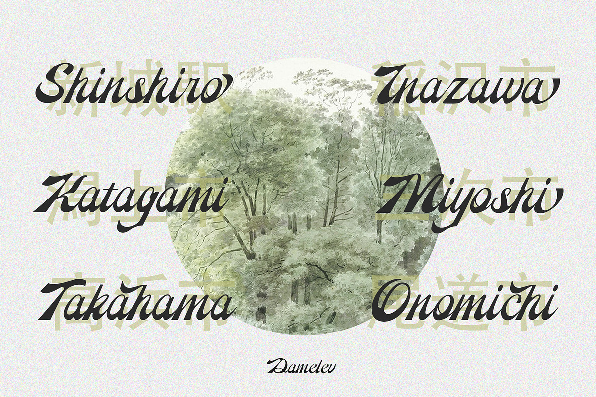Reinhart Script, a Script Font by Damelev (Photo 6 of 9)