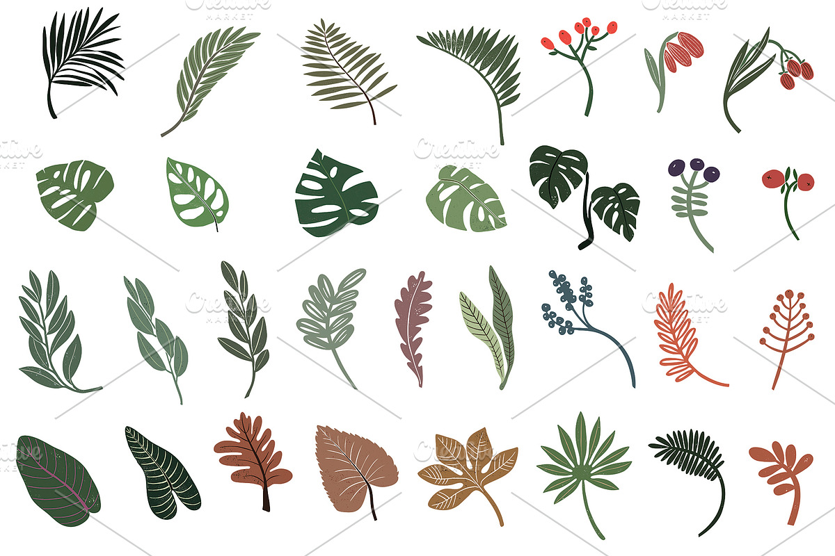 Sale Botanicum, a Texture Illustration by Mii Lab (Photo 13 of 13)