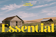 Broftin Resort Bold Serif Display, a Serif Font by timelesstype.co (Thumbnail 14 of 20)