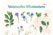 Summer Bloom Watercolor Set, an Animal Illustration by pixelbuddha.net (Thumbnail 3 of 7)