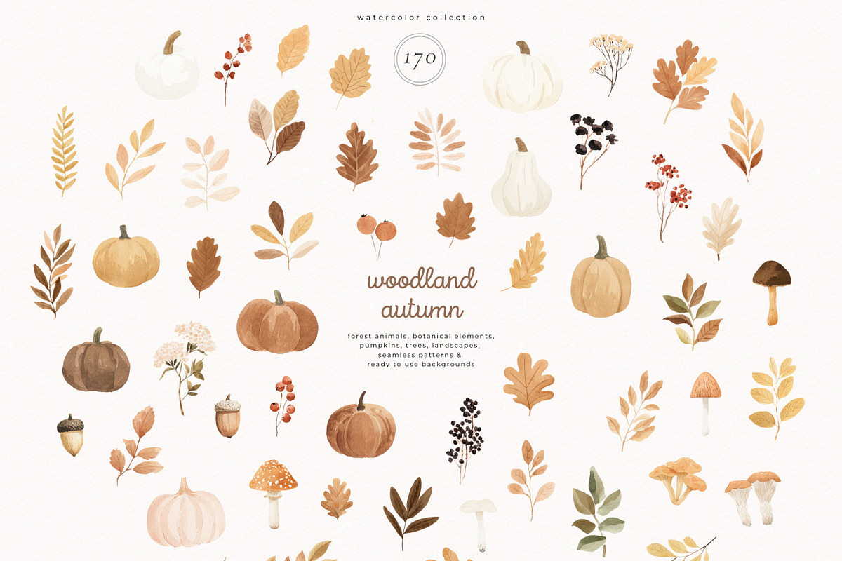 Woodland Autumn, an Animal Illustration by PeDe Designs (Photo 4 of 10)