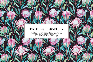 Protea flowers watercolor pattern