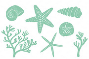 Seashells Clipart in Mint, an Illustration by Amanda Ilkov (Thumbnail 4 of 5)