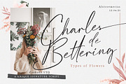 Strainger Signatures  Font, a Script Font by Cotbada_studio (Thumbnail 8 of 9)
