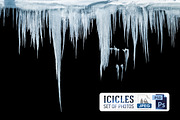 Icicles isolated from background, a Nature Photo by Countryside life (Thumbnail 2 of 22)