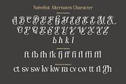 Naivelist, a Serif Font by din-studio.com (Thumbnail 9 of 10)