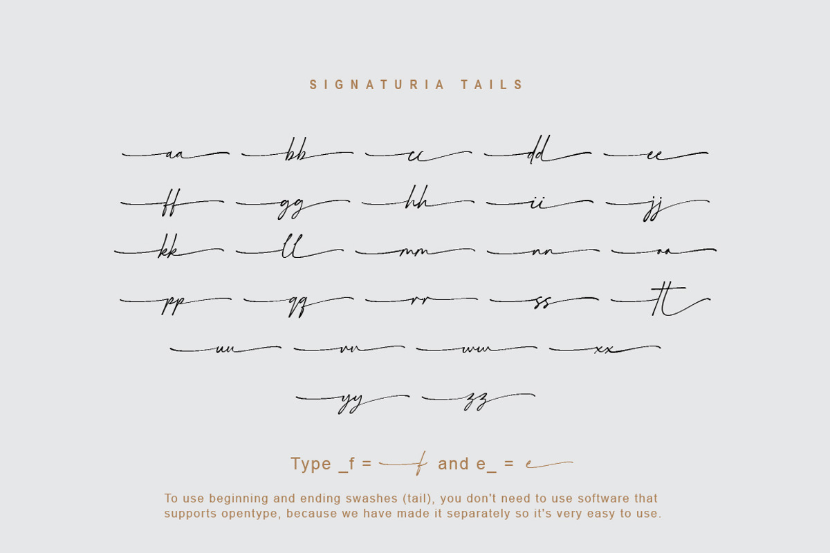 Signaturia - Handwritten Signature, a Script Font by Typebae (Photo 9 of 10)